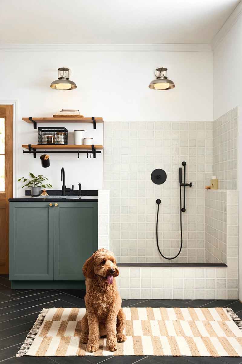 2022Q3_Industrialist_Mudroom_Ormandy_Dog_Shower_v1_Final
