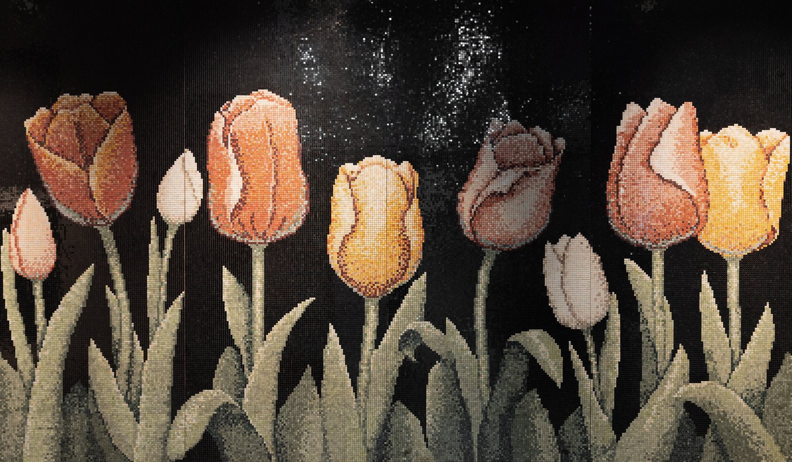 Behind the Scenes of AKDO