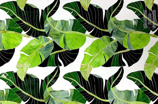 Optimized-Banana-Leaf-Plant.jpg